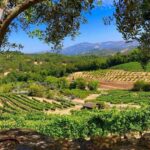 A Dining, Hotel & Wine Tasting Guide for 48 Hours in Glen Ellen California