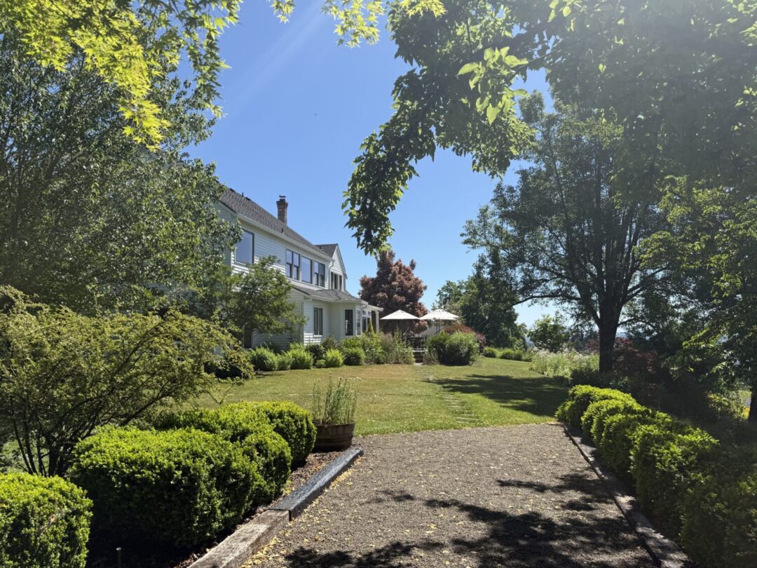 Dundee Hills Winery Guide