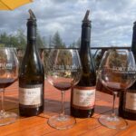 My Lovely Visit to Fort Ross Vineyard & Winery