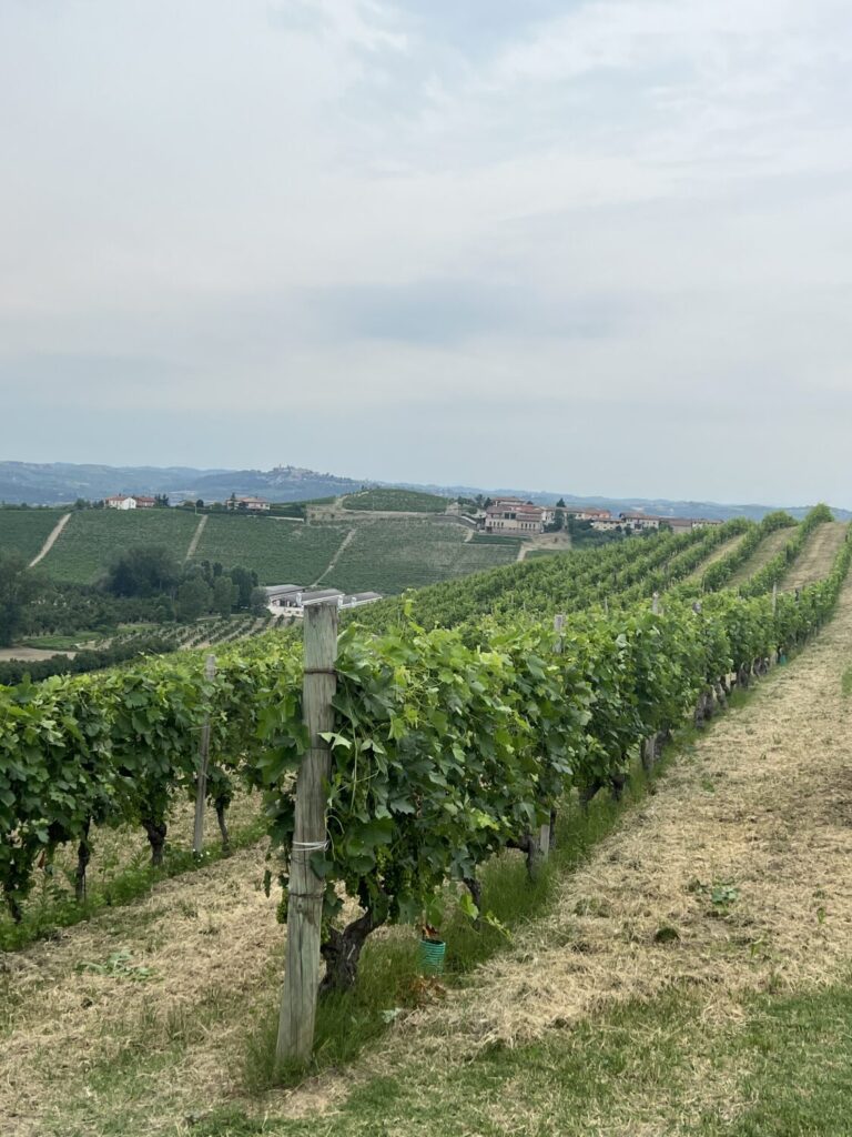 Cascina Longoria in Italy's Langhe Valley