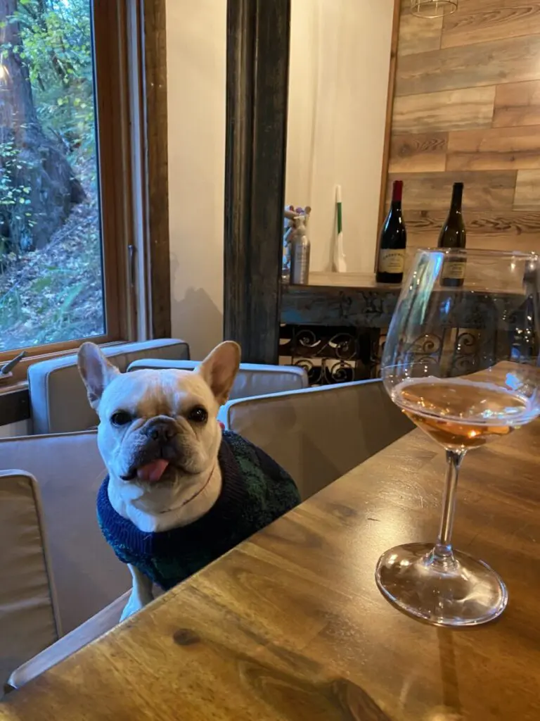 Sonoma Hidden Gem Wineries