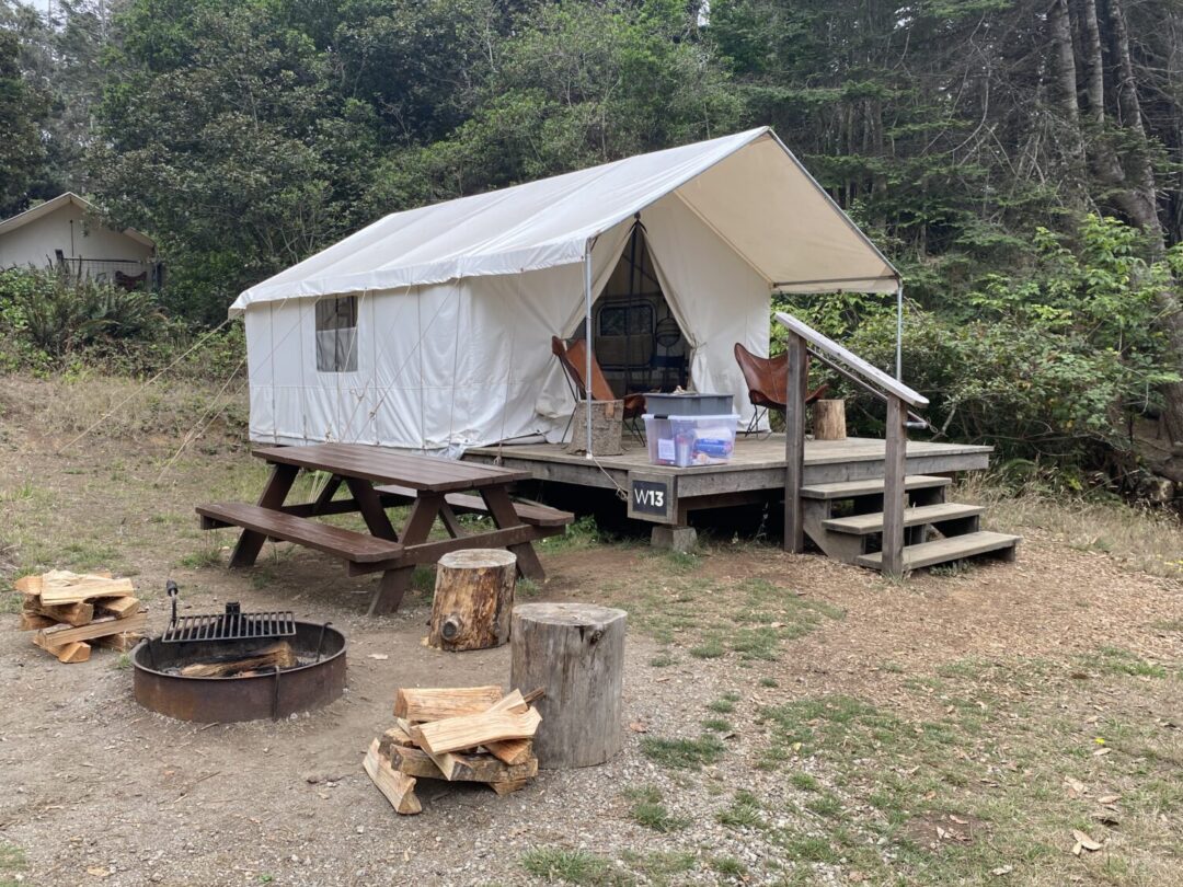 Luxury Mendocino Grove Camping