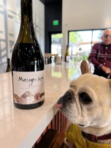 Sonoma Dog-Friendly Restaurants
