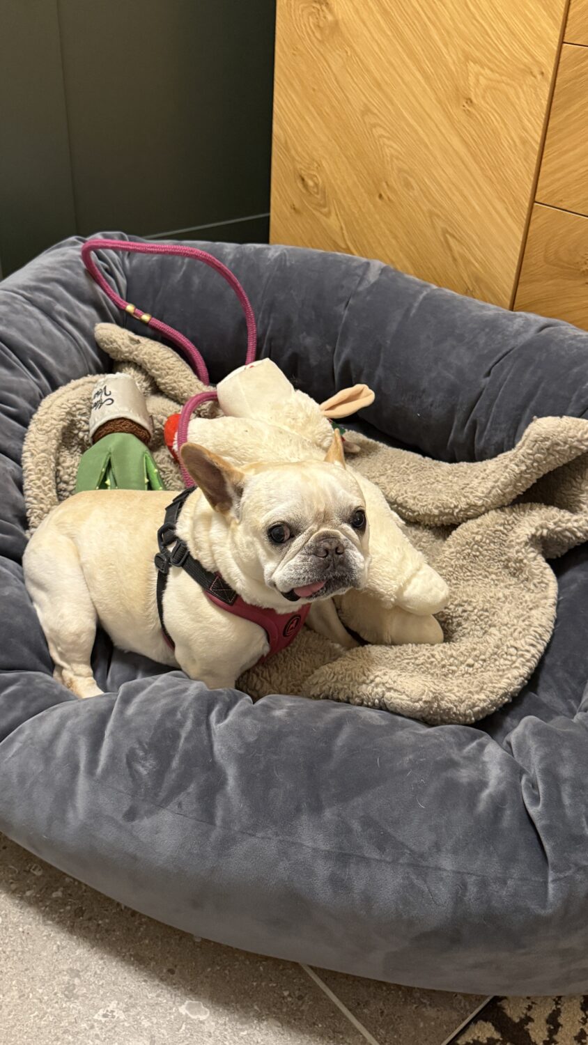 Appellation Healdsburg