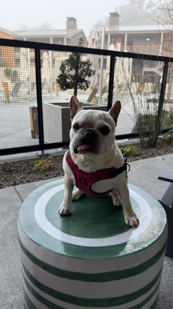 Appellation Healdsburg