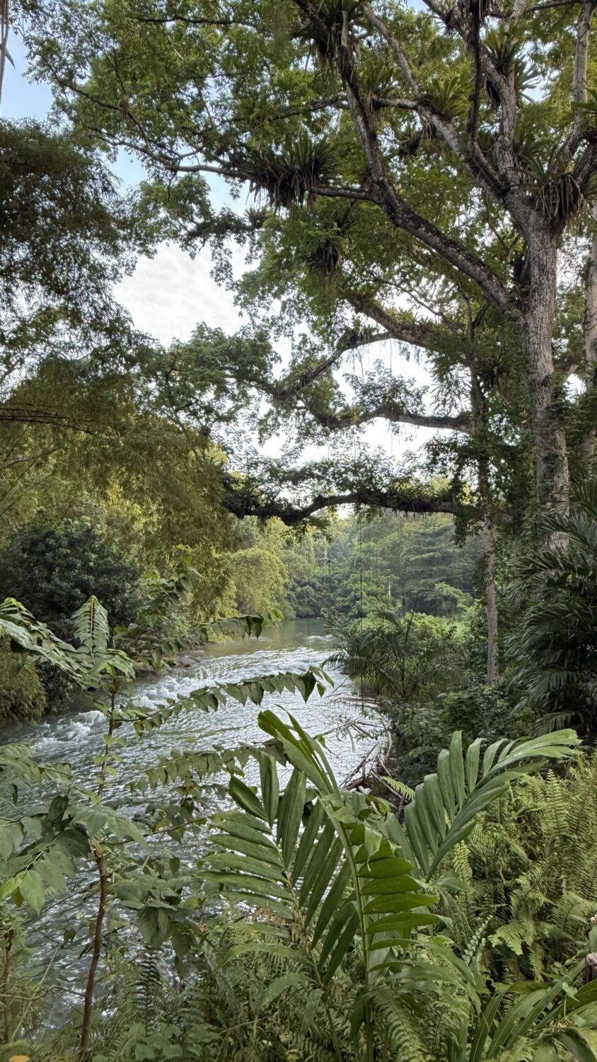 Beckley Retreats Jamaica