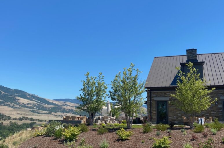 Gorgeous Irvine & Roberts Vineyards in Ashland Oregon