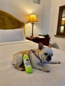 Dog Friendly Sonoma Hotels