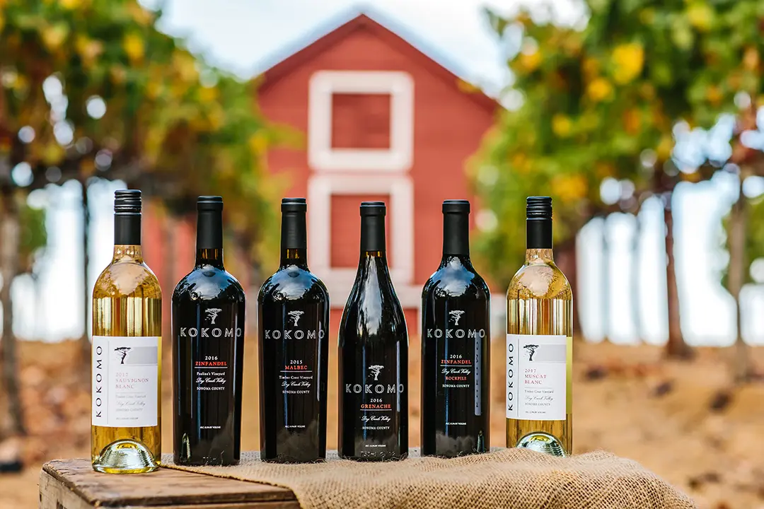 Sonoma Hidden Gem Wineries