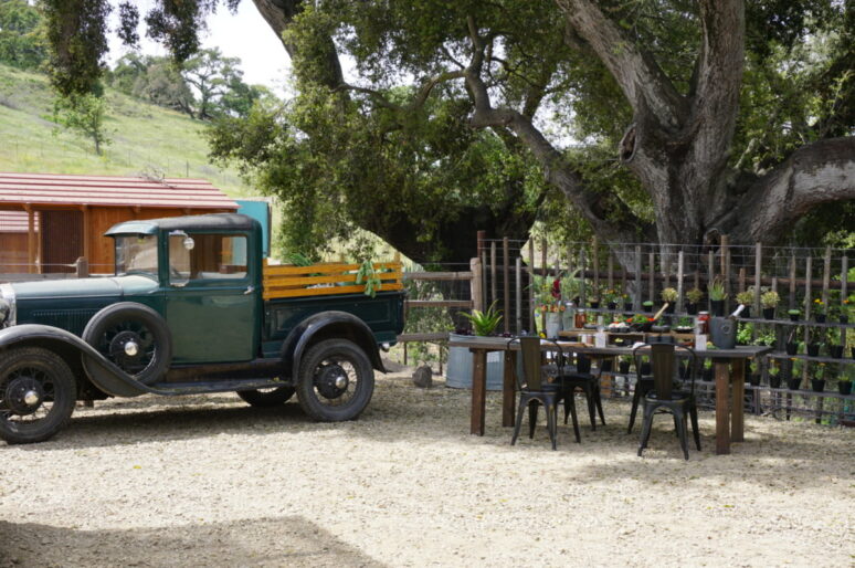 Picnic with Chef John Cox of The Bear & Star at Fess Parker