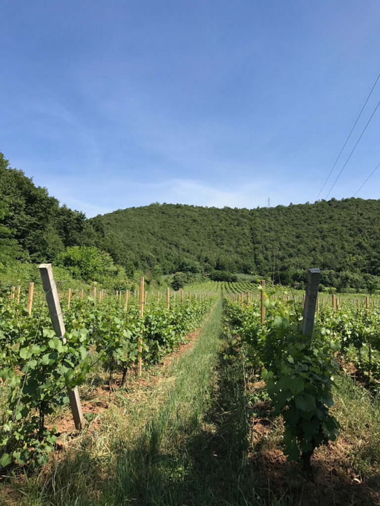 The Incredible Vini La Valle Winery Franciacorta Italy