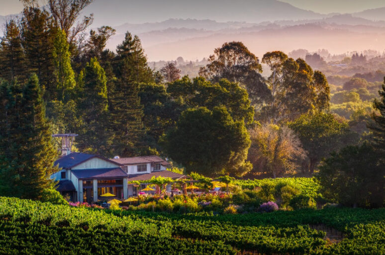 The Best Sebastopol Wineries To Experience