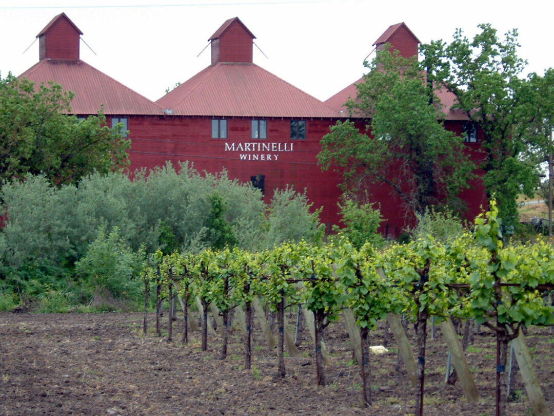 Martinelli Winery