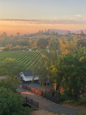 Ketcham Estate