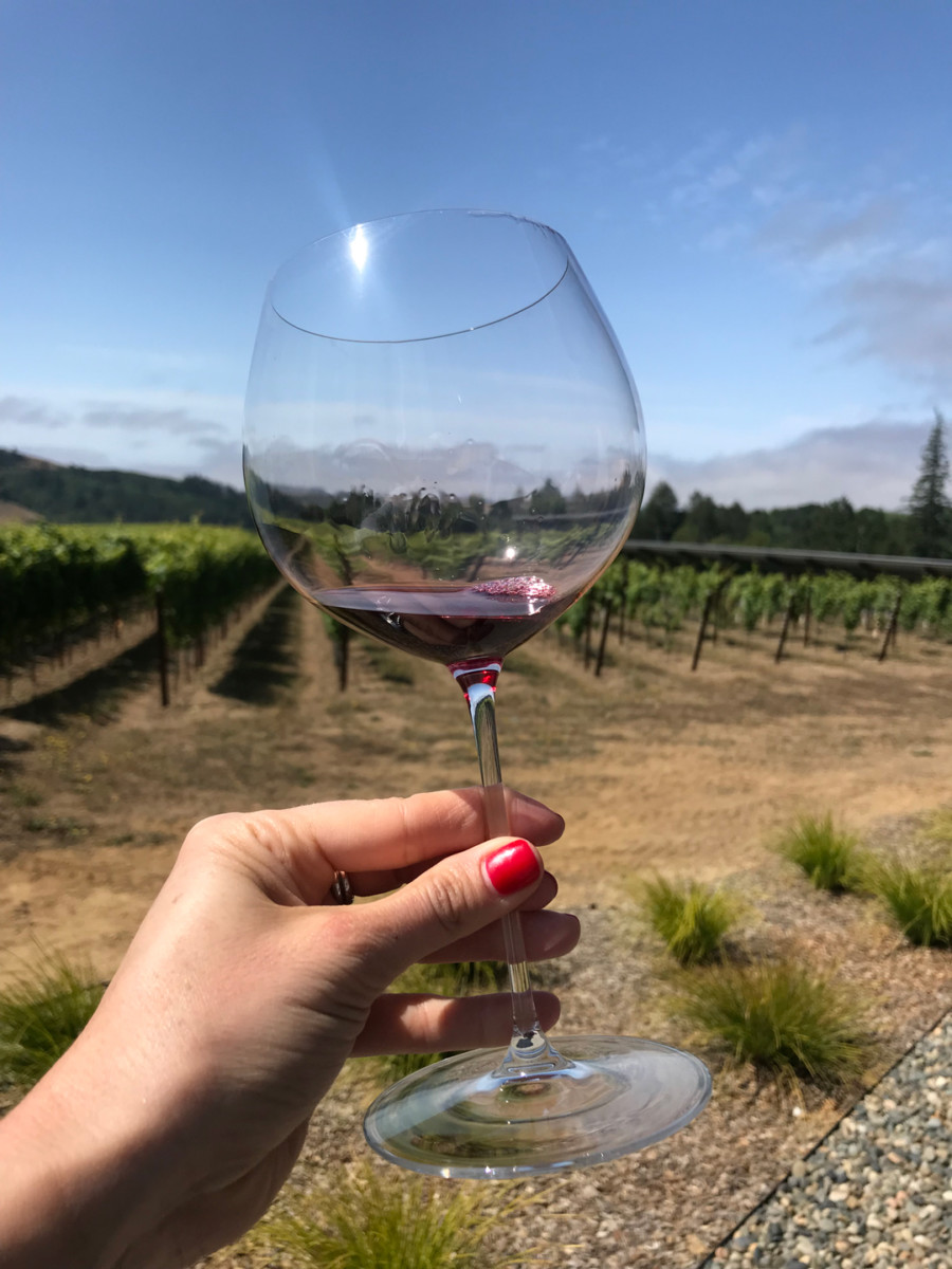 Spectacular California Vineyards