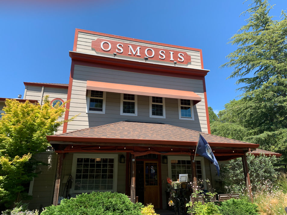 My Afternoon at Osmosis Day Spa Sanctuary
