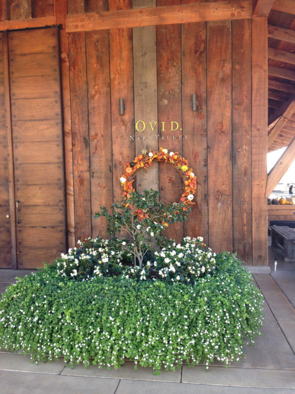 Ovid Winery A Napa Valley Winery Like Nothing You've Ever Seen