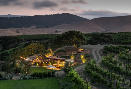 Spectacular California Vineyards