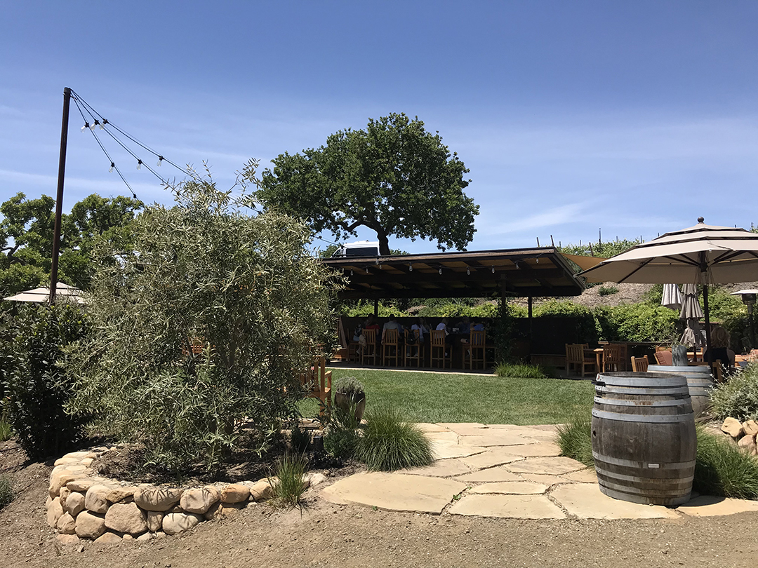 The JetSetting Fashionista Pence Vineyards & Winery30