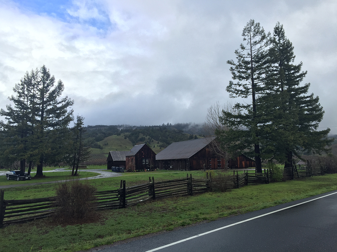 Anderson Valley Wineries