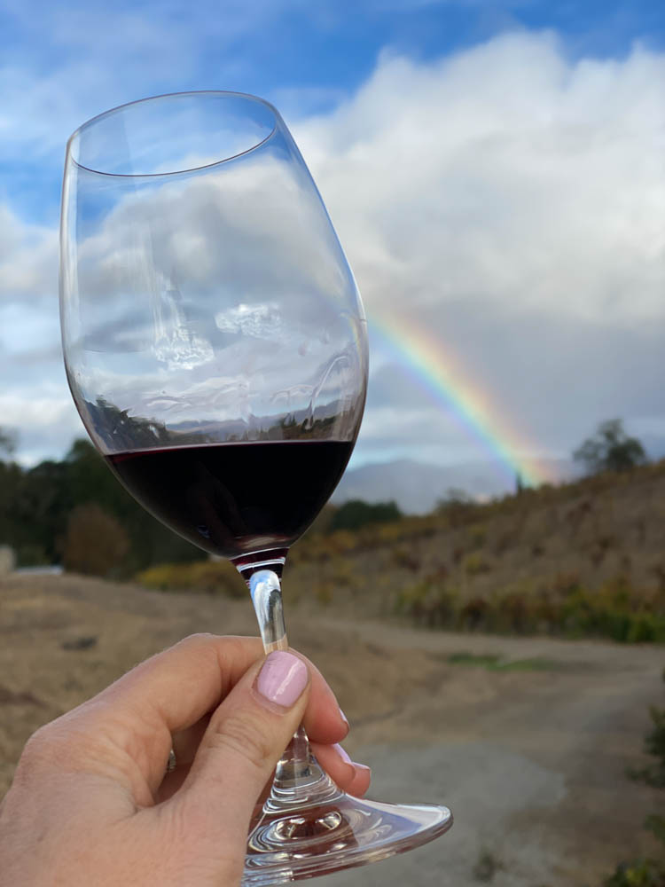 Ridge Winery and Vineyards 