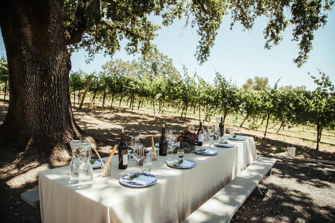 Robert Young Estate Winery by Elise Aileen Photo