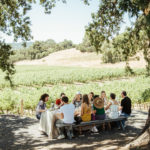 Vineyard Picnic Lunch at Robert Young Estate Winery