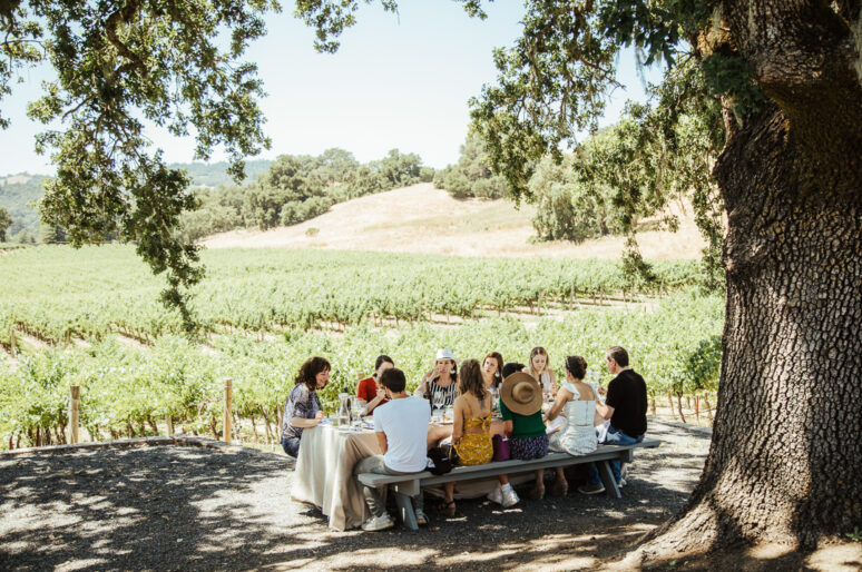 Vineyard Picnic Lunch at Robert Young Estate Winery