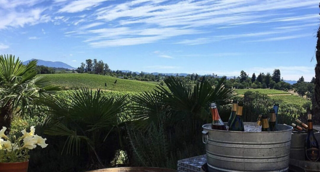 The Best Sparkling Wineries to Visit in California JSF Fashionista
