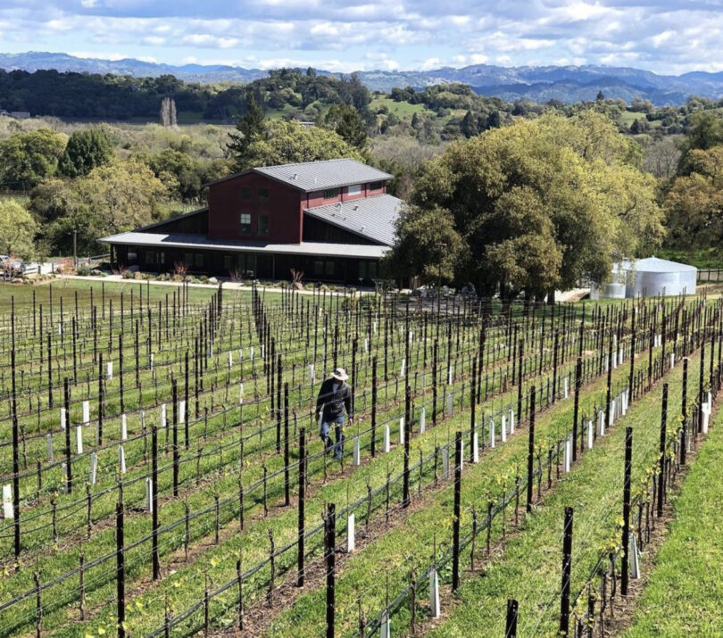 The Best Sonoma Kid Friendly Wineries The JetSetting Fashionista