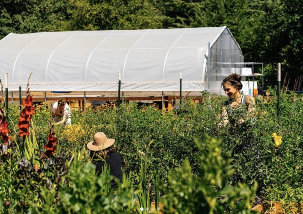 The Best Healdsburg Picnic Lunches The JetSetting Fashionista