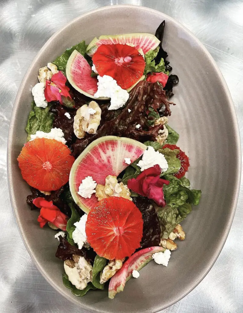 Best Healdsburg Latin Food