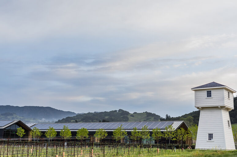 The Best Wineries in Alexander Valley, Sonoma