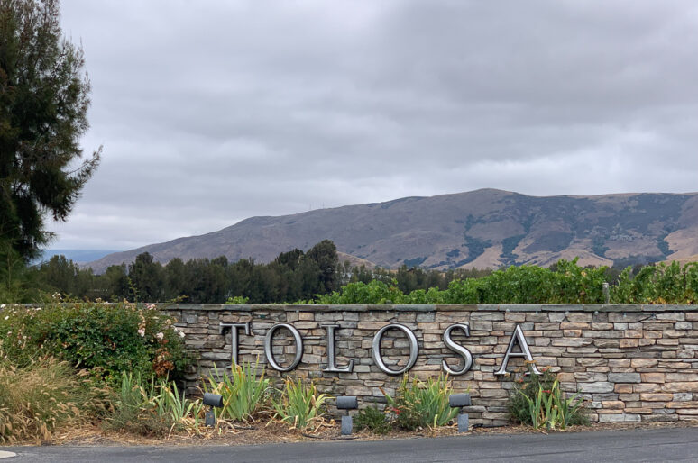 Tolosa Winery & Their Beautiful Vineyard Excursion