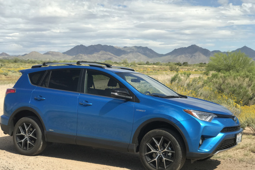 My Spring Training Adventure with Toyota