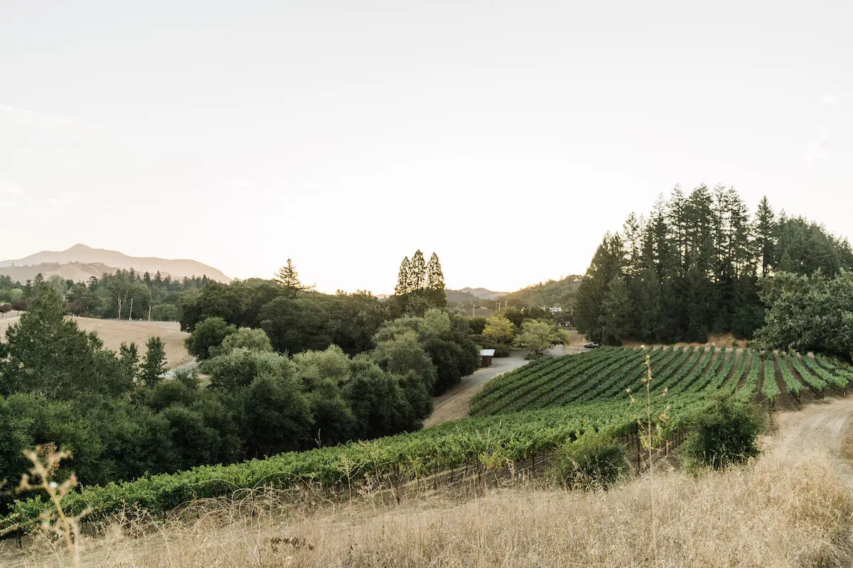 Sonoma Hidden Gem Wineries