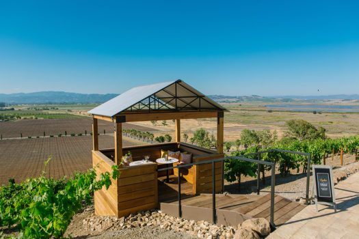 Viansa Sonoma & Their Canopy Tasting Experience