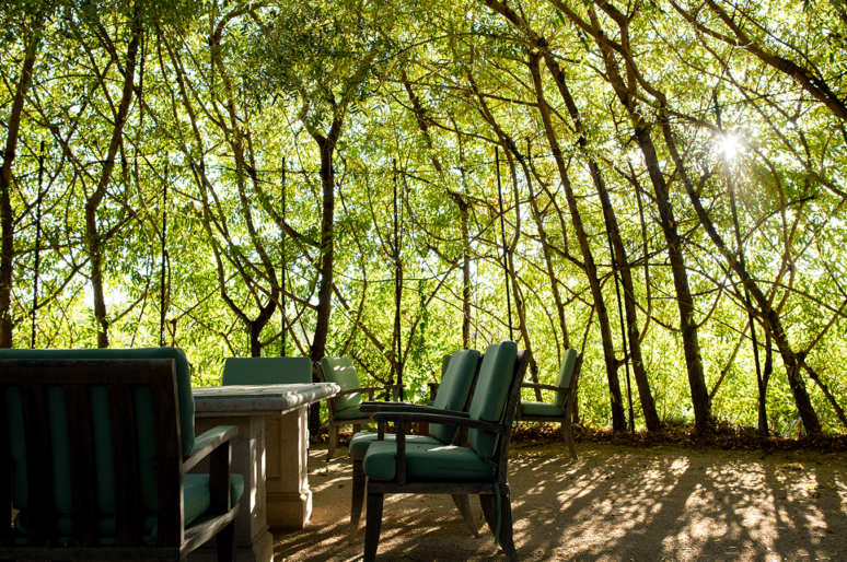 Protected: The Top Sonoma Hidden Gem Wineries To Try