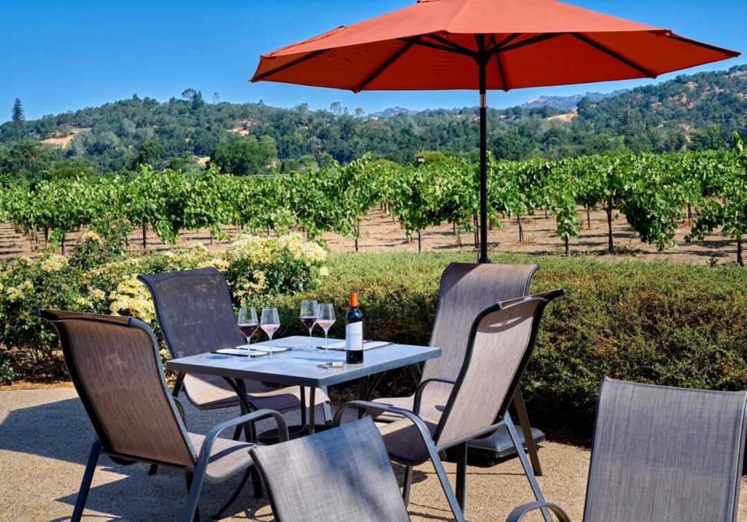 Hidden Gems Winery Tour