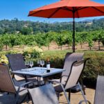 Experience Hidden Gems Winery Tour