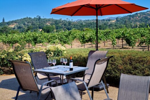 Experience Hidden Gems Winery Tour