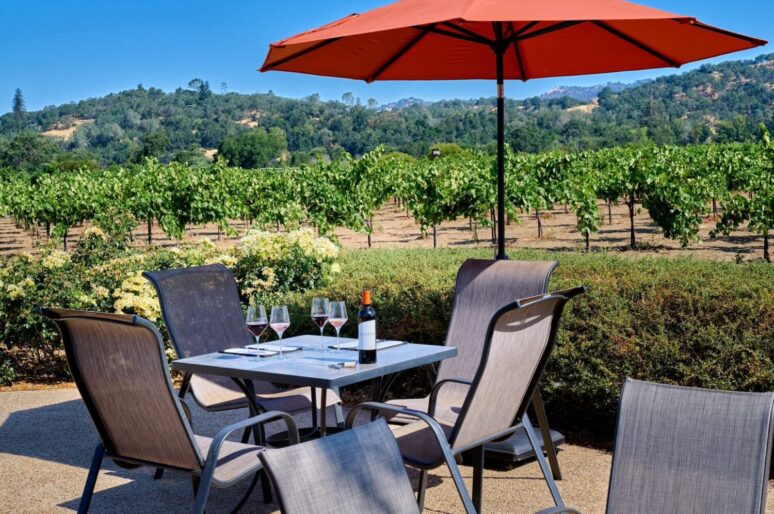 Experience Hidden Gems Winery Tour