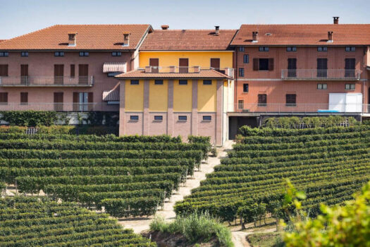 The Most Up and Coming Winemakers in Italy to Know
