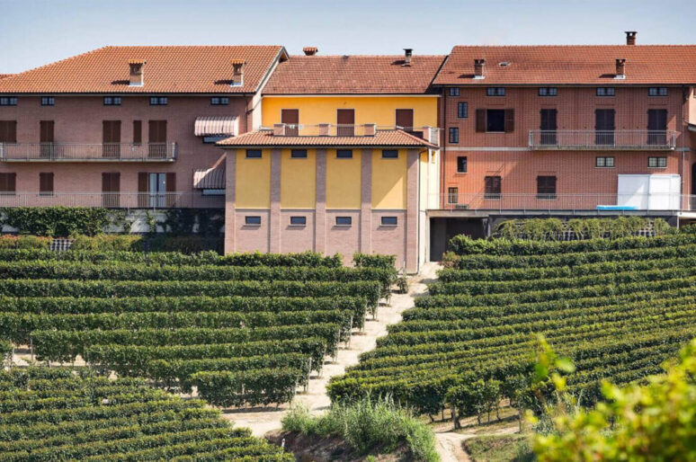 The Most Up and Coming Winemakers in Italy to Know