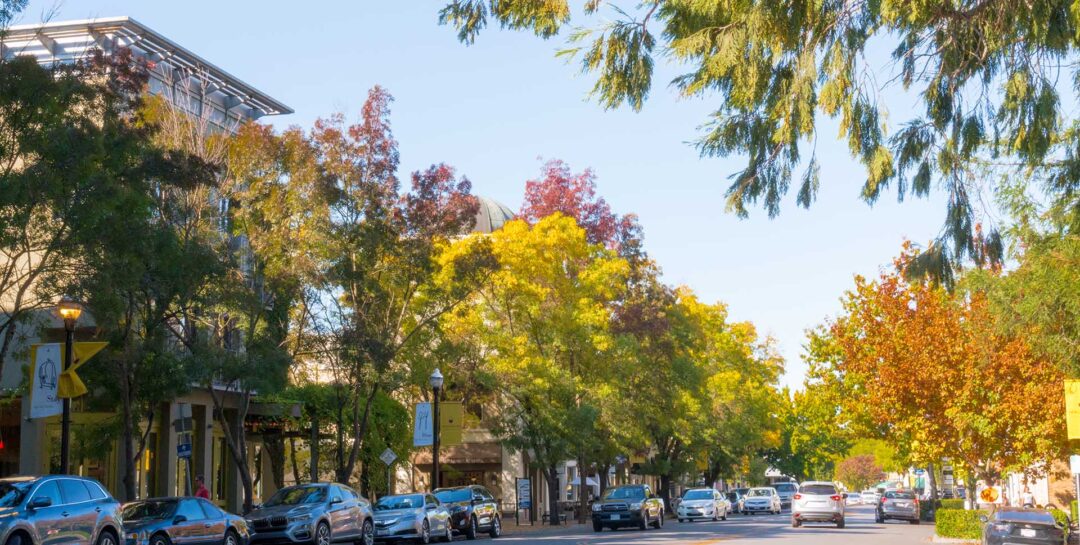 Truckee Shopping Guide