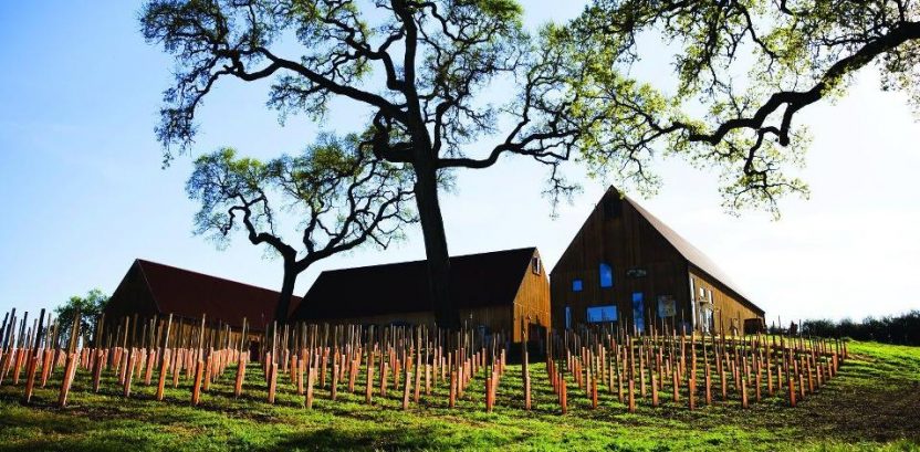 Kid-Friendly Paso Robles Wineries