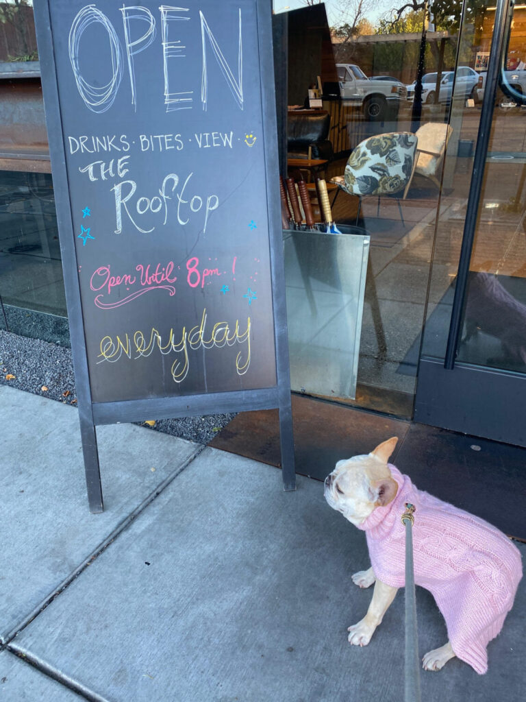 Sonoma Dog Friendly Restaurants